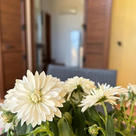 Dell' Acqua Apartament Lampedusa
